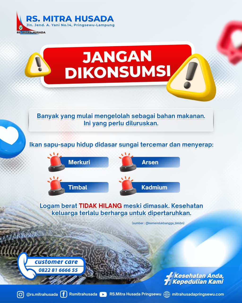 IKAN SAPU-SAPU, JANGAN DIKONSUMSI!